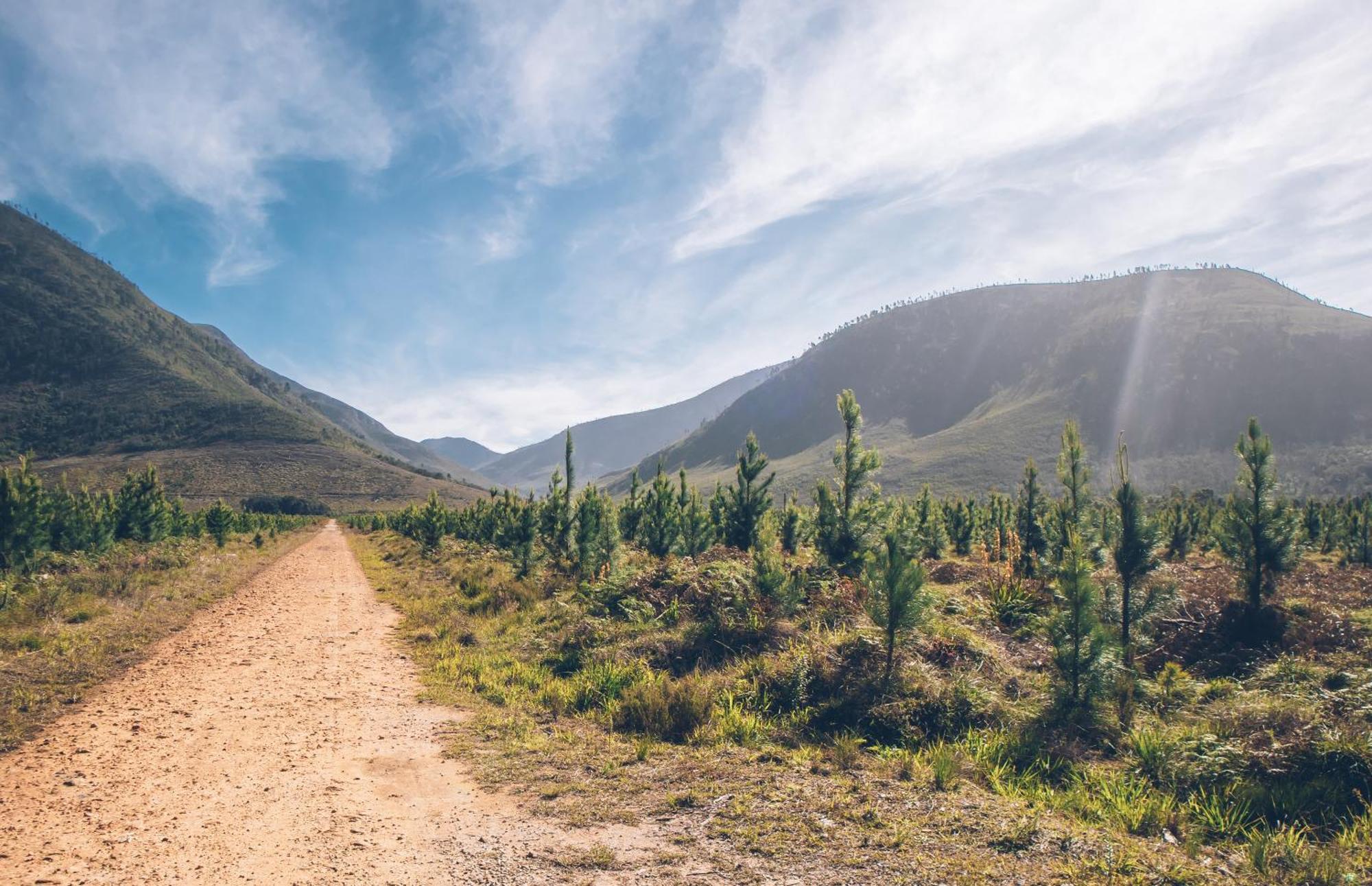 Tsitsikamma Lodge & Spa Stormsrivier Exteriér fotografie