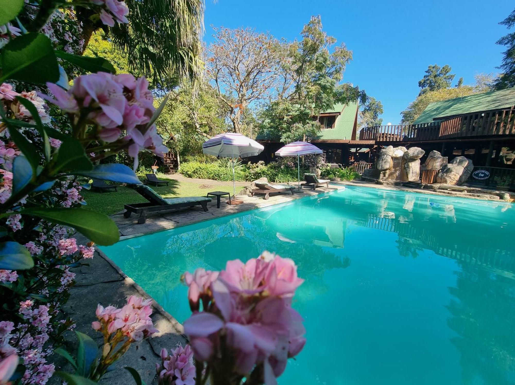 Tsitsikamma Lodge & Spa Stormsrivier Exteriér fotografie